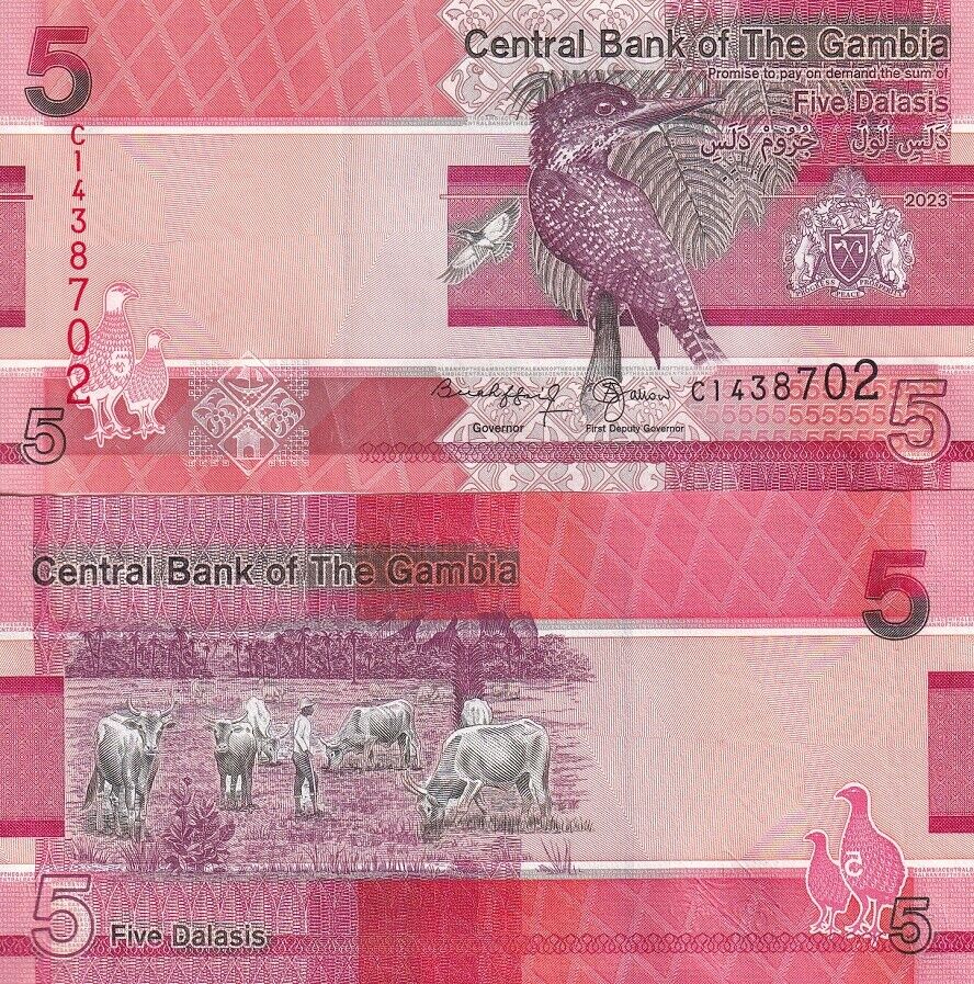 Gambia 5 Dalasis 2023 / 2024 P 37 NEW Sign UNC