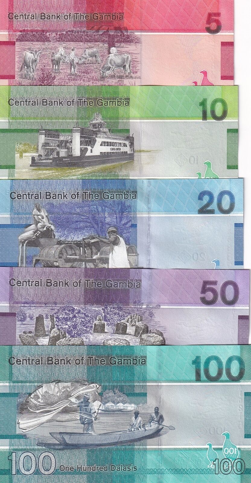 Gambia Set 5 Pcs 5 10 20 50 100 Dalasis 2019 P 37 38 39 40 41 UNC