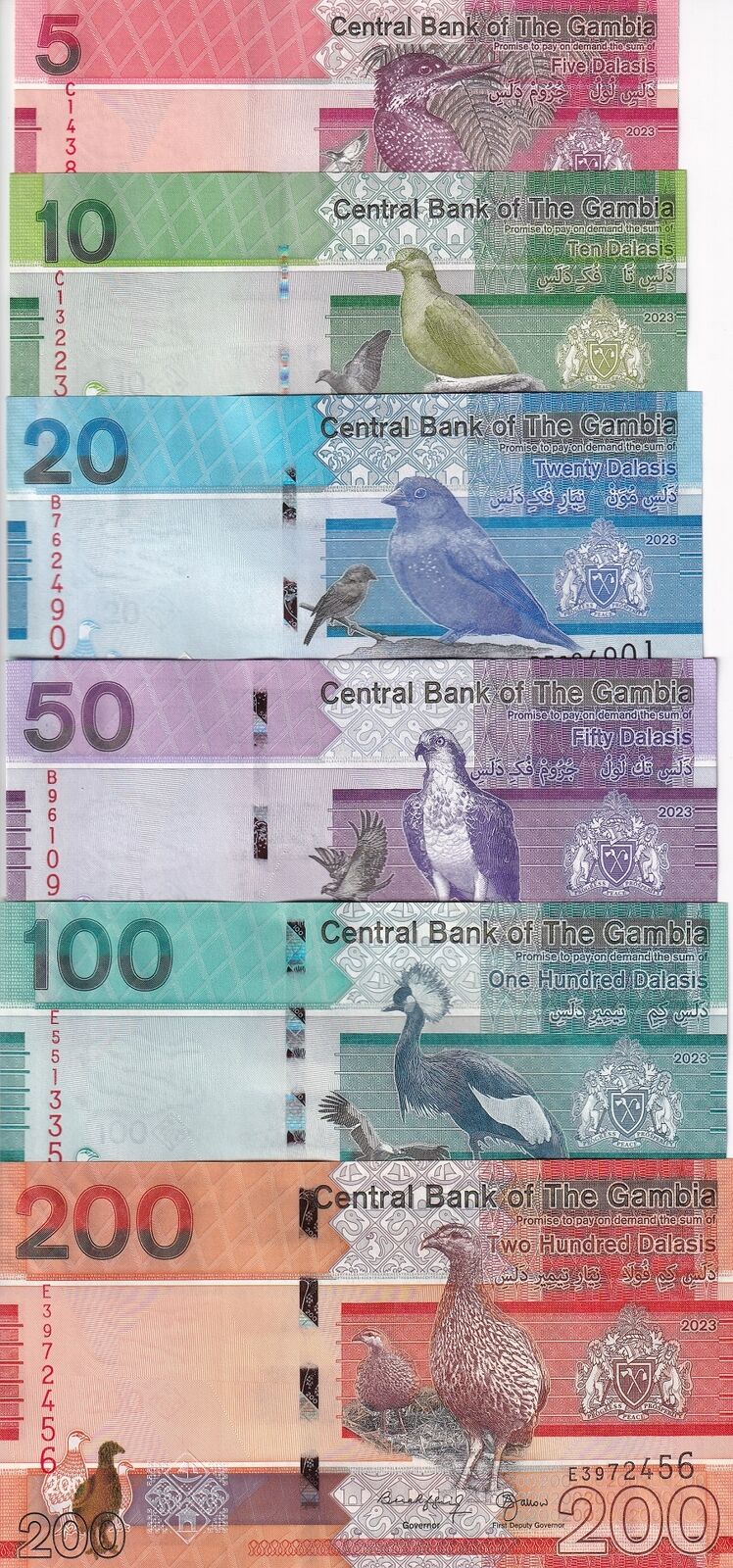 Gambia Set 6 Pcs 5 10 20 50 100 200 Dalasis 2023 / 2024 P 37 38 39 40 41 42 UNC