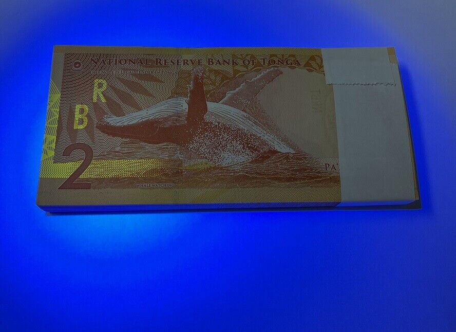 Tonga 2 Pananga 2023 2024 P 50 NEW Design Whale LOT 100 UNC 1 Bundle