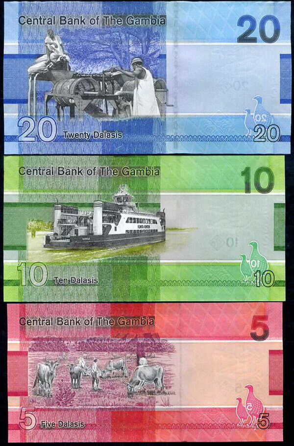 Gambia Set 3 Pcs 5 10 20 Dalasis 2019 P 37 38 39 UNC