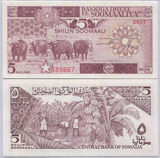SOMALIA 5 SHILLINGS 1987 P 31 c AUnc