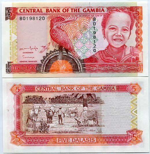 GAMBIA 5 DALASIS ND 1996 P 16 AU-UNC