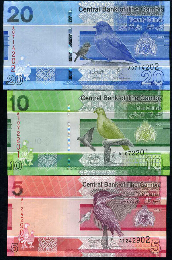 Gambia Set 3 Pcs 5 10 20 Dalasis 2019 P 37 38 39 UNC