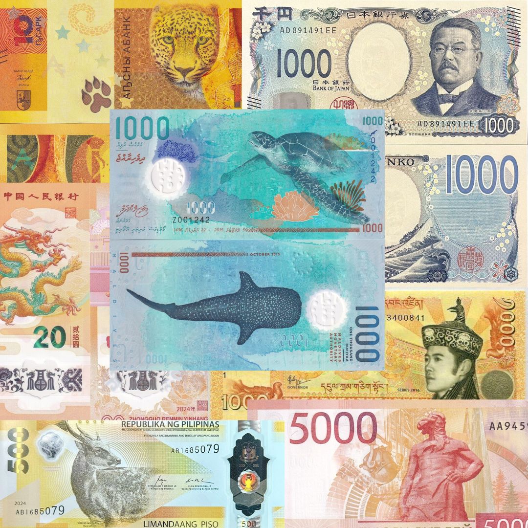 Paper Money from Around the World