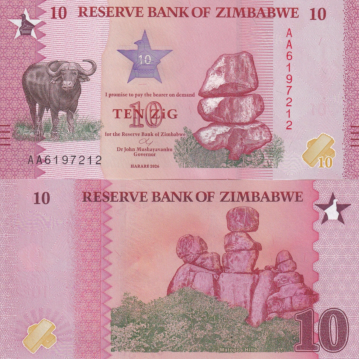 Store Note Paper New Zimbabwe ZiG10, ZiG20, and ZiG50 Banknotes 2026 – NotesHOBBY