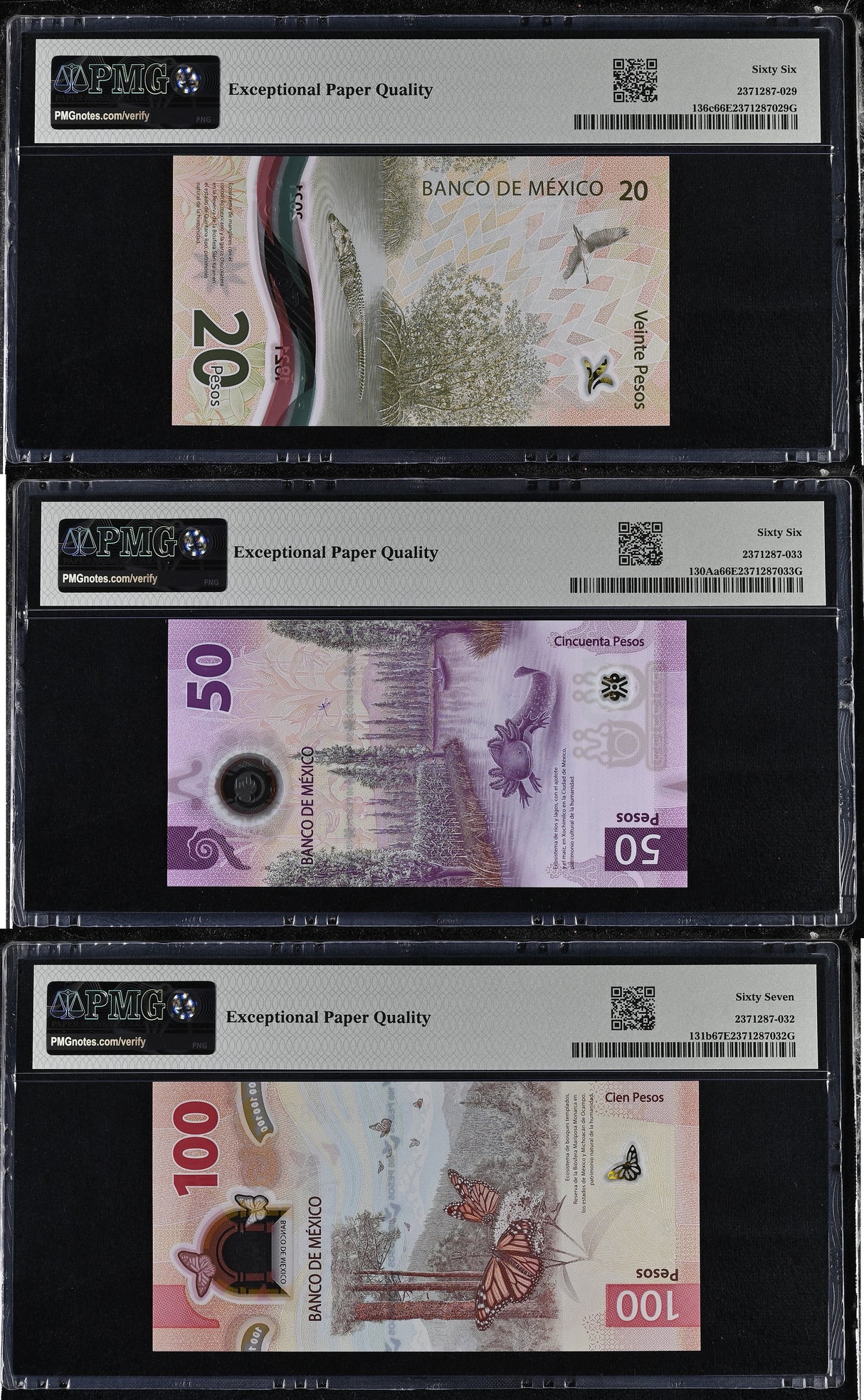 Mexico Set 3; 20 50 100 Pesos 2021 2023 P 130A P 131 P 136 Gem UNC PMG 66 67 EPQ