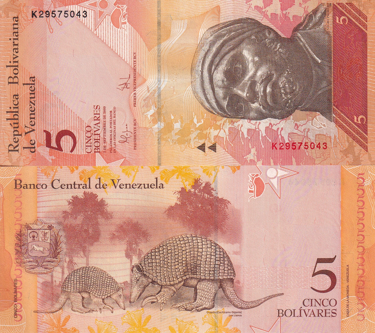 Venezuela 5 Bolivares 2009 P 89 UNC
