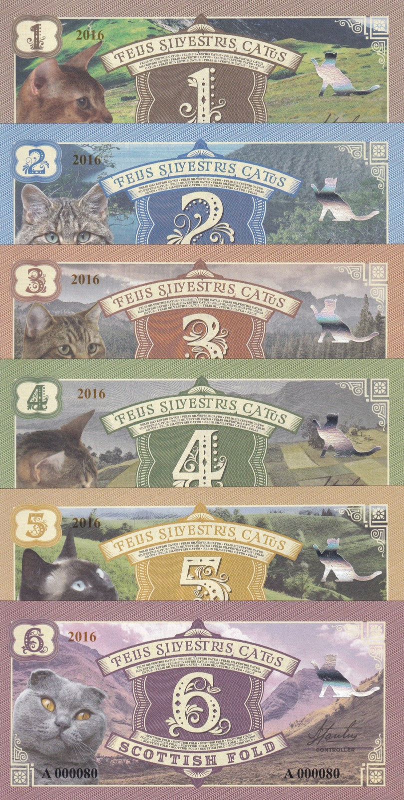 Felis slivestris CATUS Set 6 ,1 2 3 4 5 6 CATS 2016 Scottish Fold Bengal FANTASY