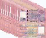 Lebanon 5000 Lives 2014 P 91 UNC LOT 10 PCS