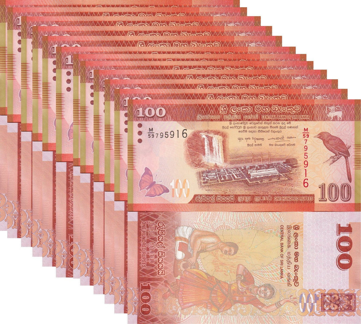 Sri Lanka 100 Rupees 2024 issue 2026 P 125 UNC LOT 10 PCS billed babbler
