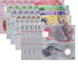 Maldives Set 5 x LOT 5 = 25 UNC 5 10 20 50 100 Rufiyaa 2017-2025 / 2026 Polymer