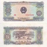 Vietnam 5 Hao 1976 , 0.5 Dong , P 79 AU-UNC Little Age Tone , Coconut palm