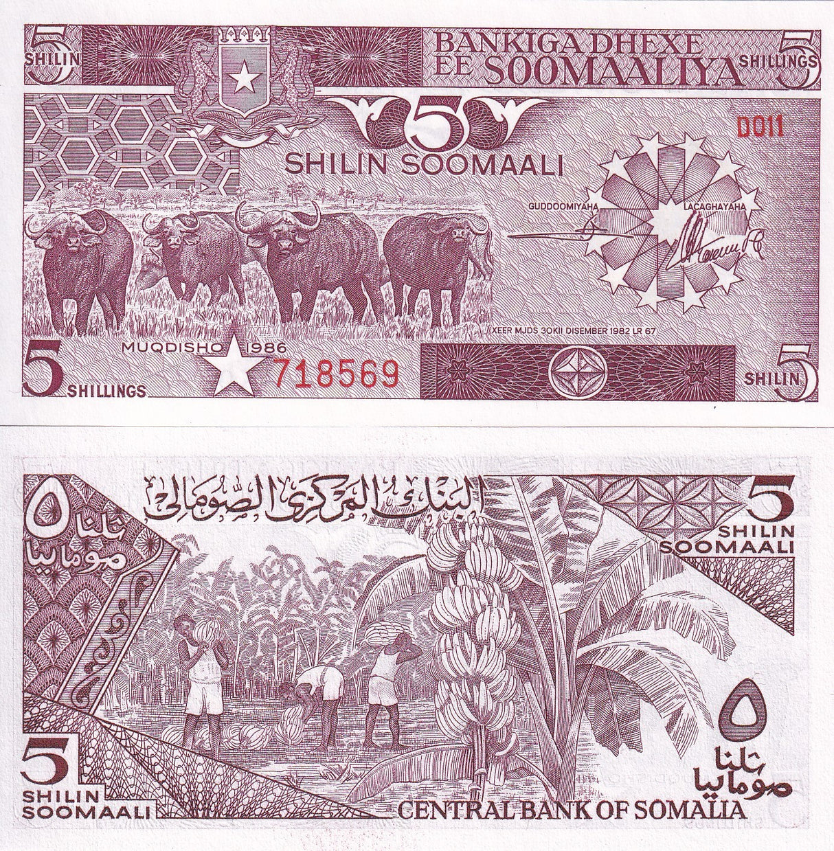 Somalia 5 Shillings 1986 P 31 b UNC