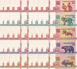 Belarus Set 5 x Lot 10 = 50 UNC 50 Kapeek 10 25 50 100 Rublei 1992 P 1 5 6 7 8
