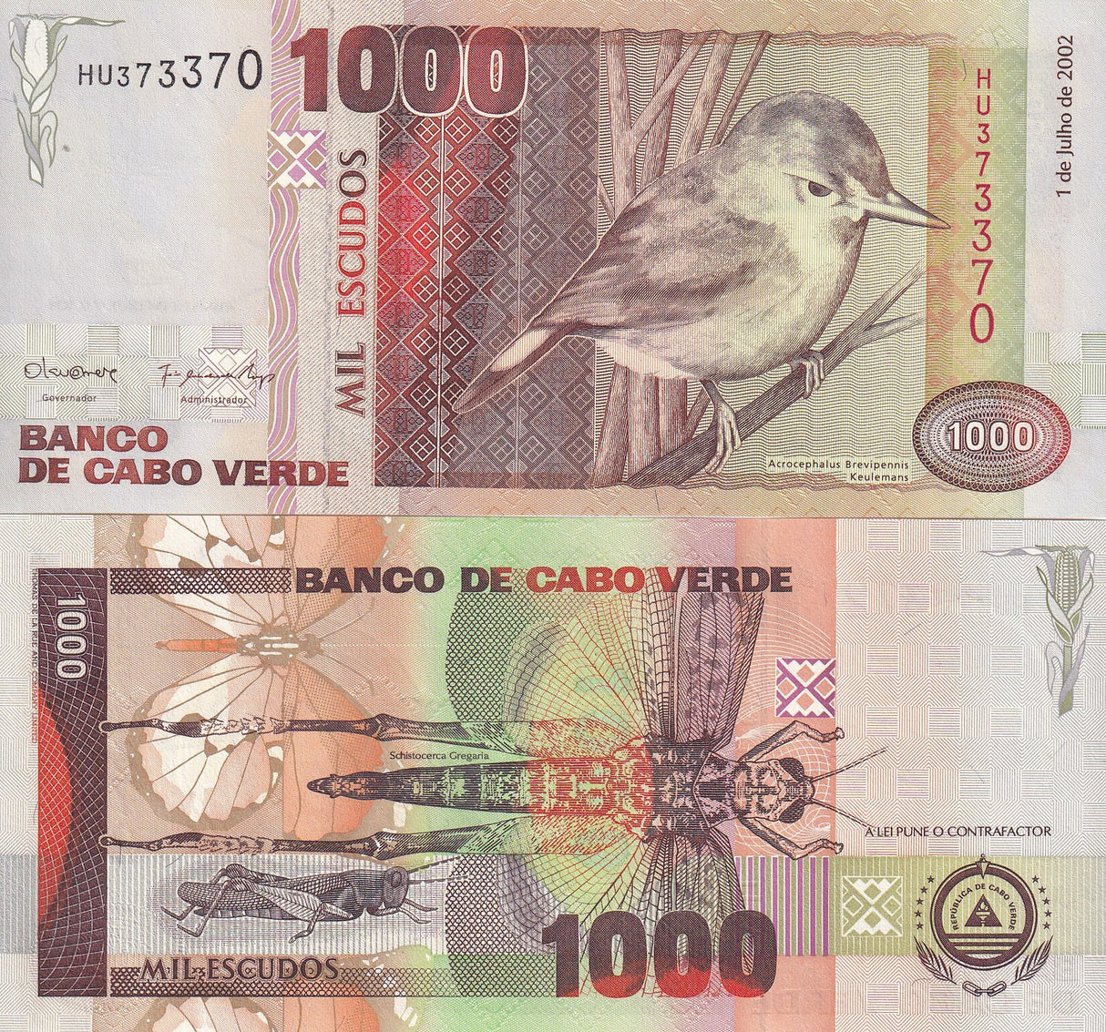 Cape Verde 1000 Escudos 2002 P 65 UNC, Pierid butterfly, warbler