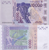 Ivory Coast West African States 10000 Francs 2025 P 118 UNC