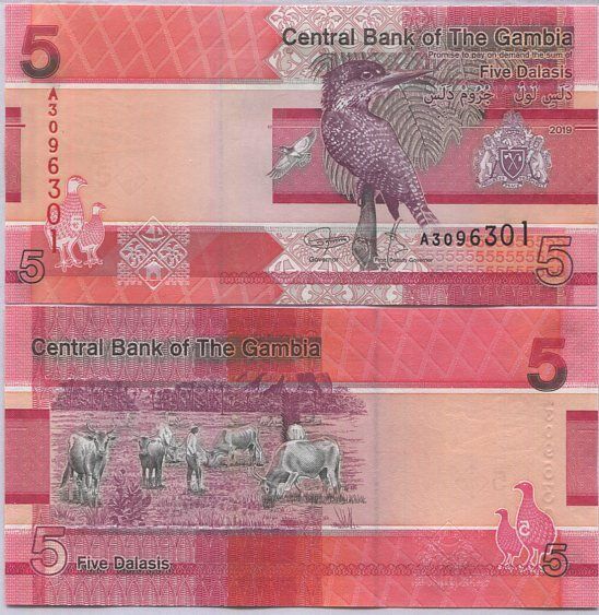 Gambia 5 Dalasis 2019 P 37 UNC