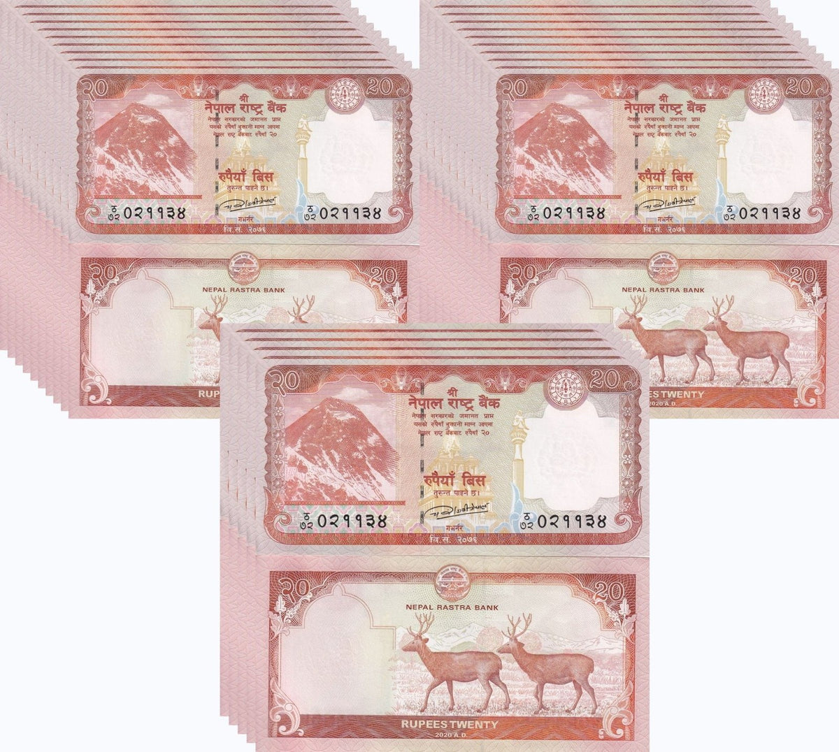 Nepal 20 Rupees 2020 P 78 b Sambar Deers UNC LOT 25 PCS, Mount Everest