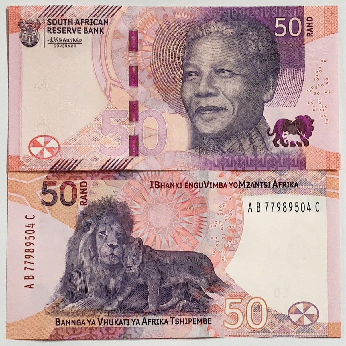 South Africa 50 Rand 2023 P 150 New Family Design Lion UNC