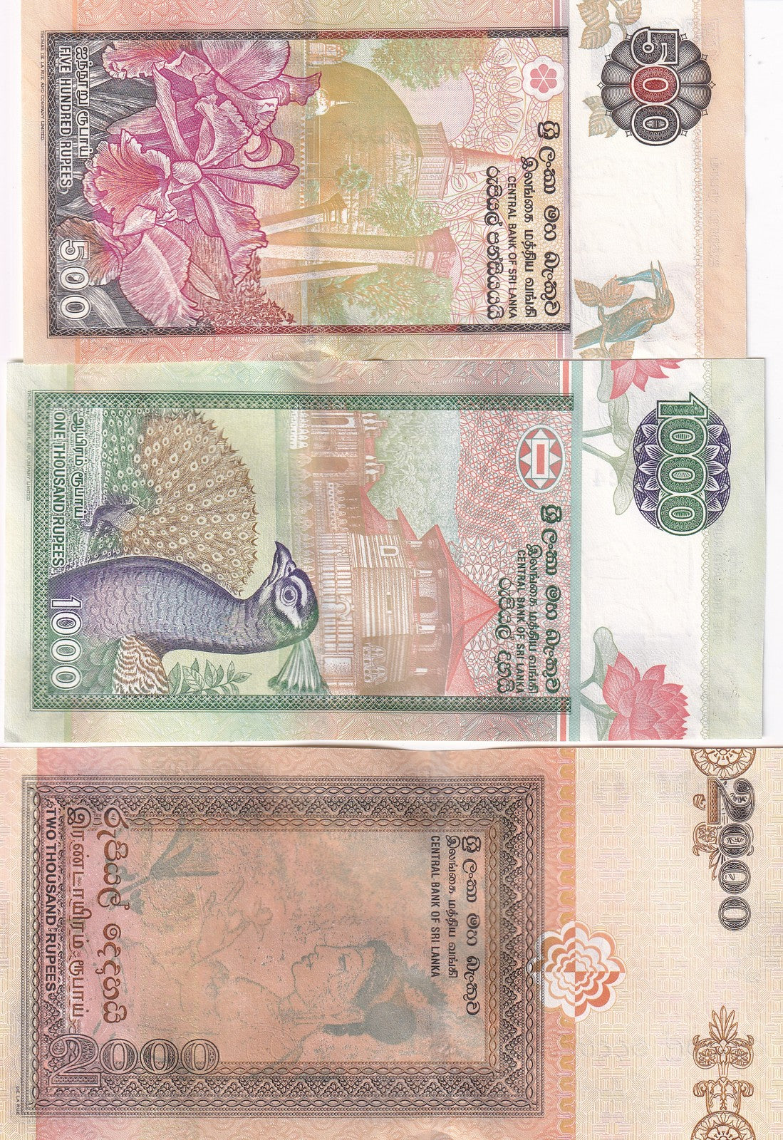 Sri Lanka SET 3 UNC 500 1000 2000 Rupees 2005-2006 P 119 120 121