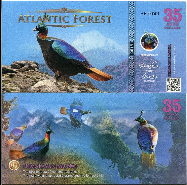 ATLANTIC FOREST 35 AVES DOLLARS HIMALAYAN MONAL 2017