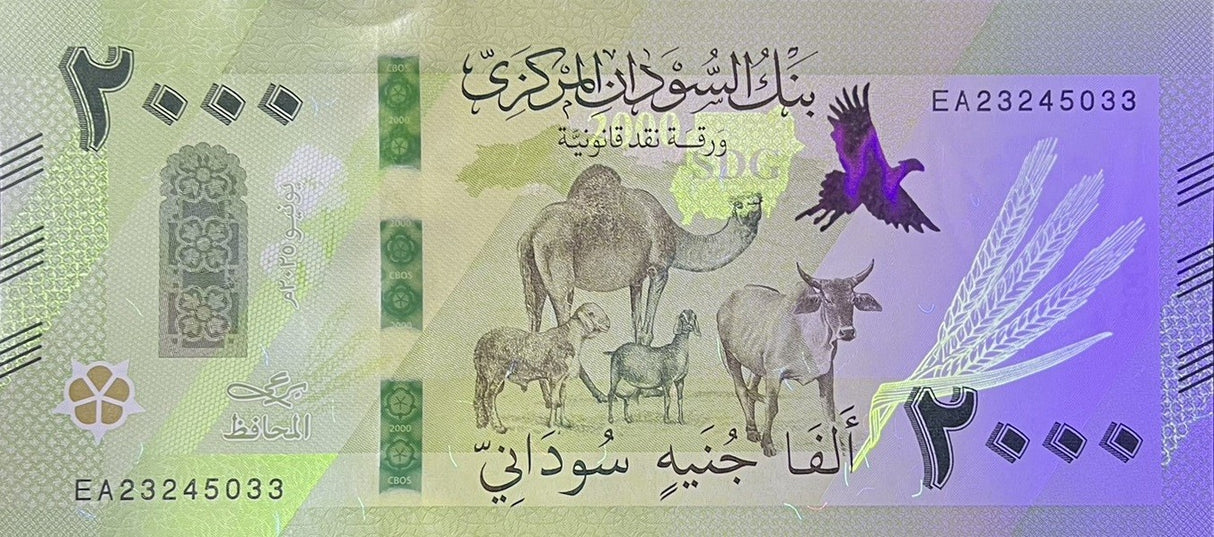 Sudan set 2 UNC 500 2000 Pounds 2025 / 2026 P New Design Camel