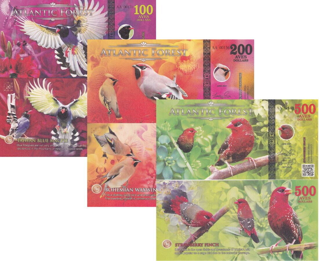 ATLANTIC FOREST Set 3; 100 200 500 AVES MAGPIE WAWING FINCH 2024 Fantasy