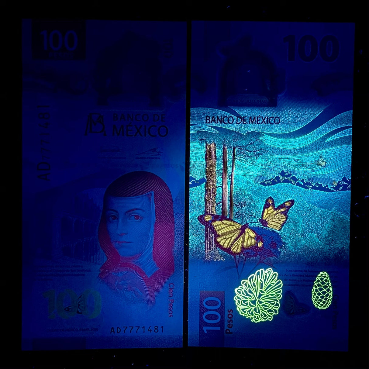 Mexico 100 Pesos 2020 P 131 a ,P W134 Polymer Random Prefix UNC