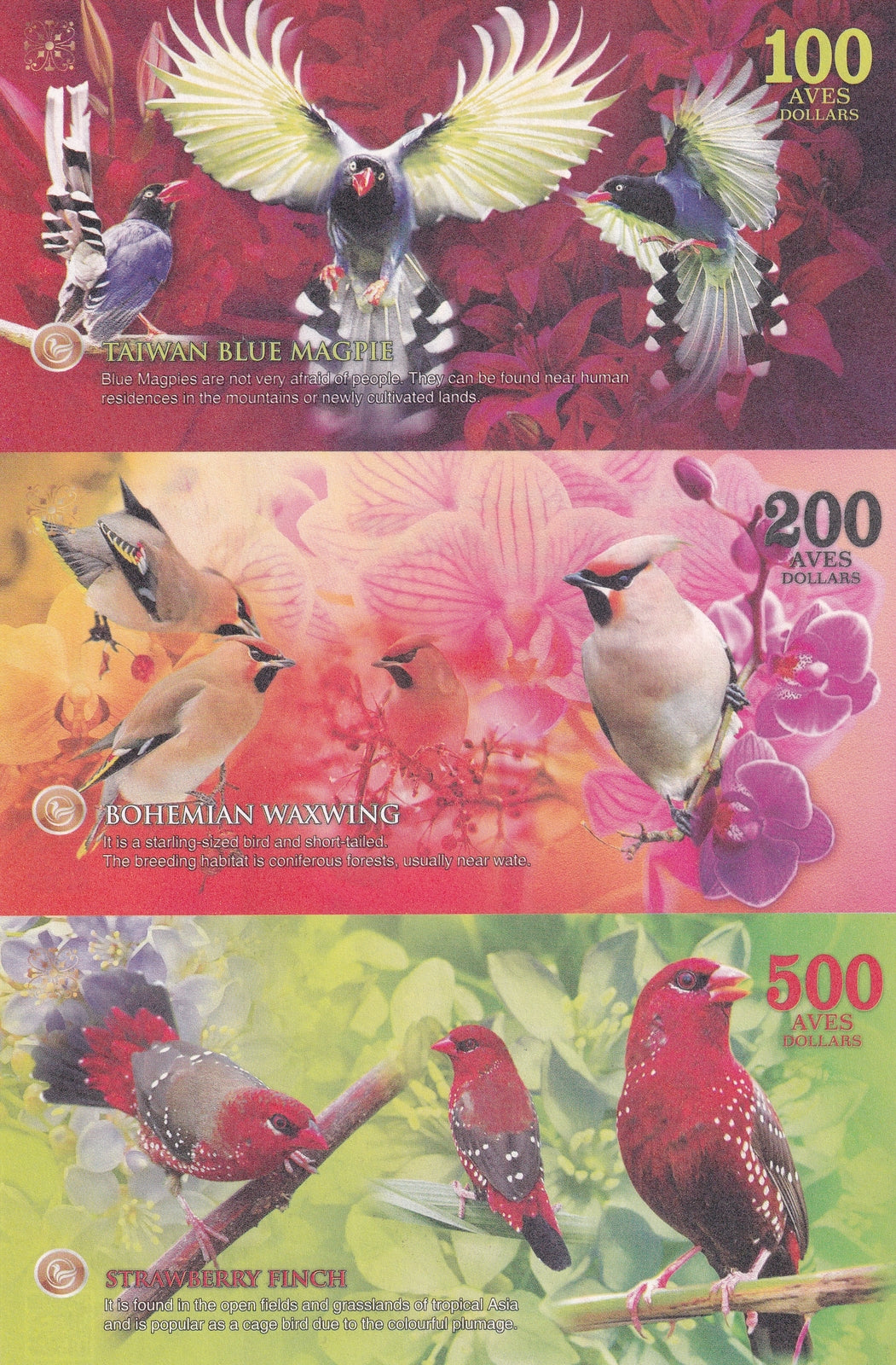 ATLANTIC FOREST 100 200 500 AVES DOLLARS SHEET 3 UNCUT 2024 Fantasy
