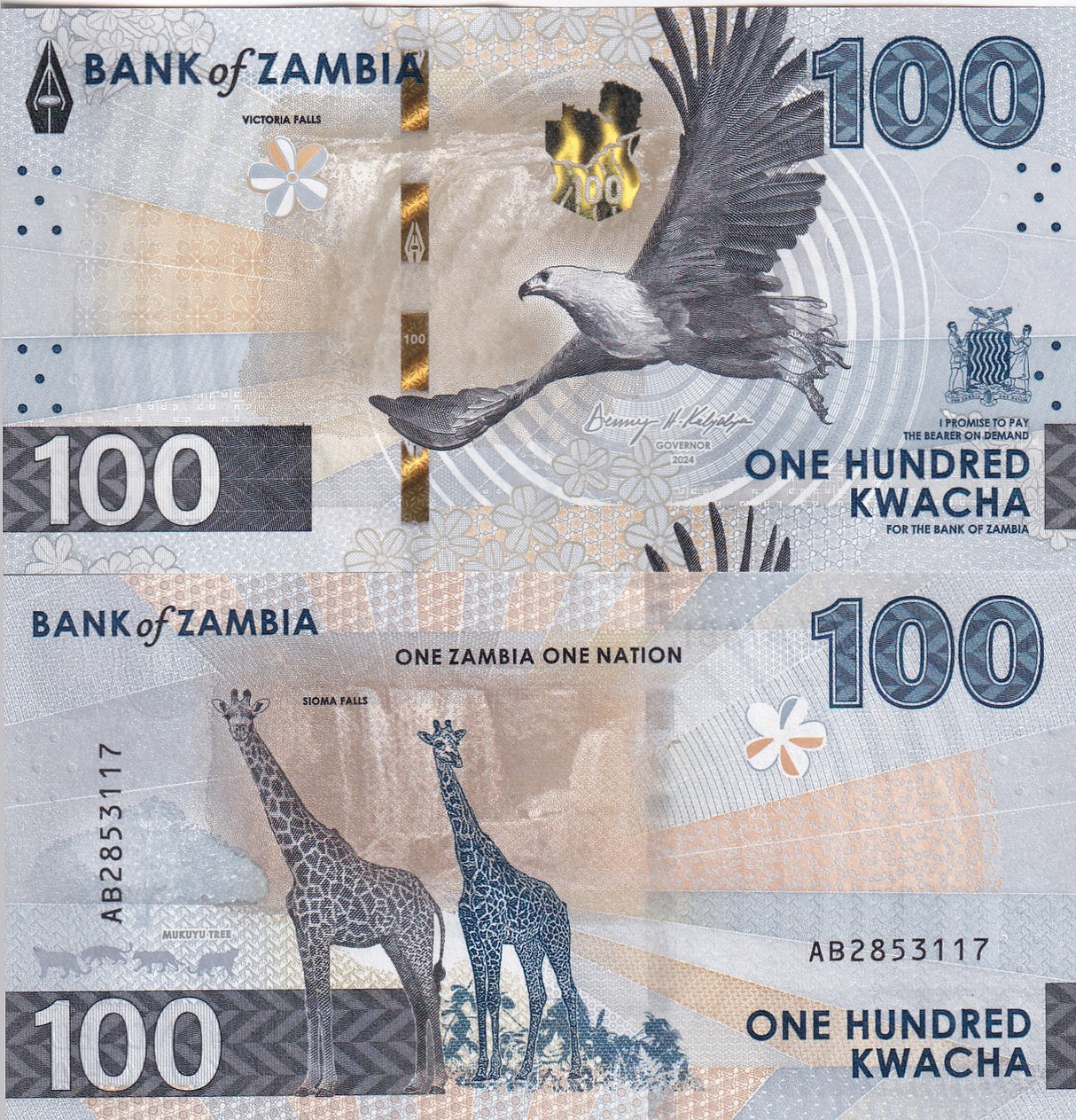 Zambia Set 6 UNC 10 20 50 100 200 500 Kwacha 2024 2025 P 62 63 64 65 66 67