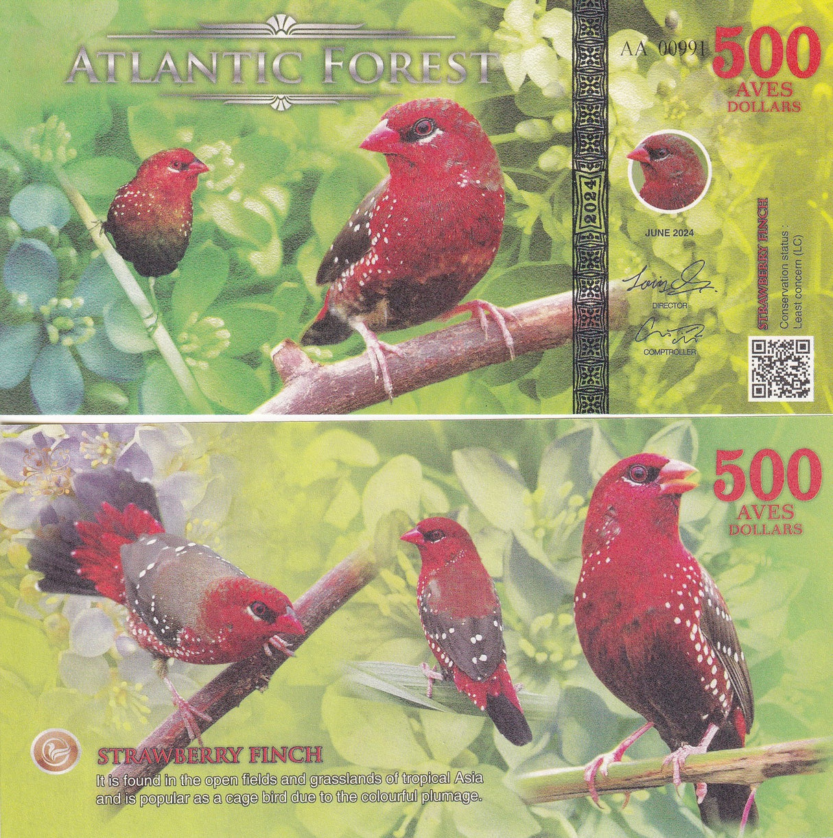 ATLANTIC FOREST 500 AVES DOLLARS STRAWBERRY FINCH 2024 Fantasy