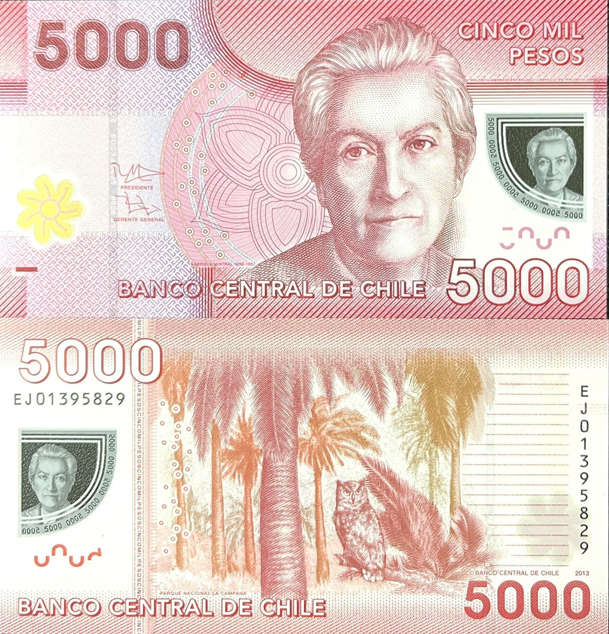 Chile 5000 Pesos 2013 P 163 Polymer UNC