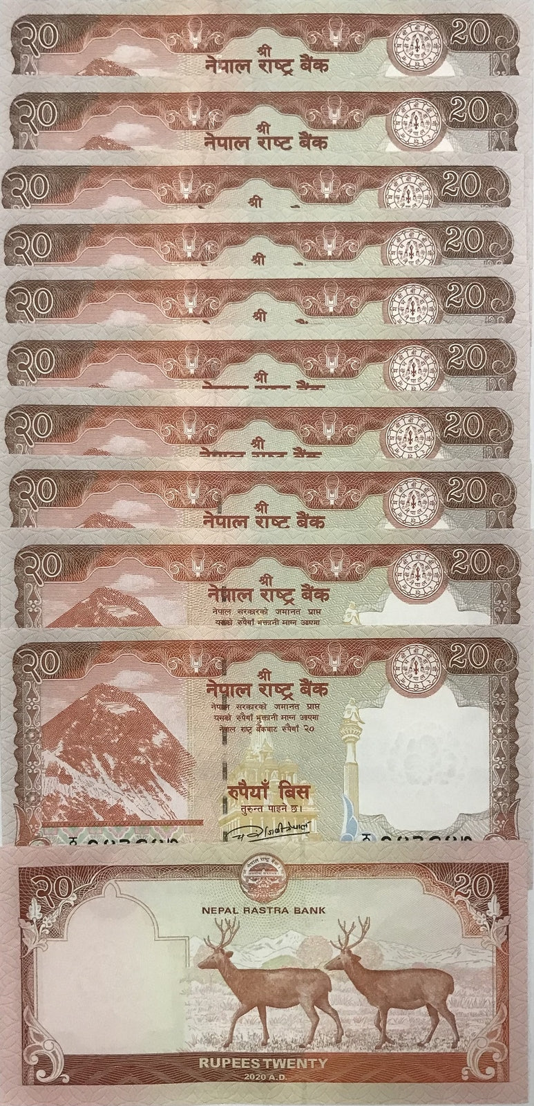Nepal 20 Rupees 2020 P 78 b Sambar Deers UNC LOT 10 PCS