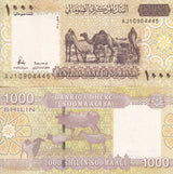 Somalia Set 5 UNC 1000 2000 10000 20000 50000 Shillin 2010 2023 P 38 39 41 42 43