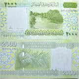 Somalia Set 5 UNC 1000 2000 10000 50000 Shilling 2010 2023/2024 P 38 39 41 42 43