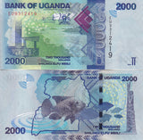 Uganda 2000 Shillings 2024 P 50 UNC