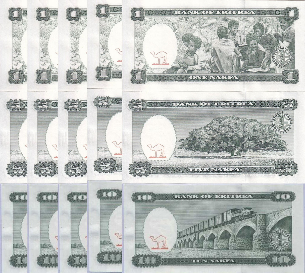 Eritrea Set 3 x Lot 5 = 15 UNC 1 5 10 Nakfa 1997 P 1 2 3 CAMEL