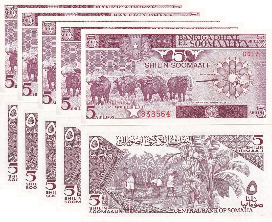 SOMALIA 5 SHILLINGS 1987 P 31 c UNC Little Tone LOT 5 PCS