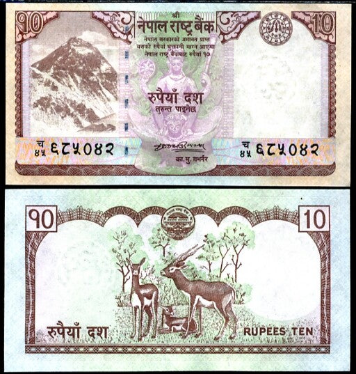 Nepal 10 Rupees 2008 P 61 PAPER UNC