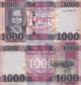 South Sudan 1000 Pounds 2024 P 21 NEW Letter UNC , Ostriches