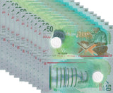 Maldives 50 Rufiyaa 2022 Polymer P 28 New Symbol UNC LOT 10 Pcs