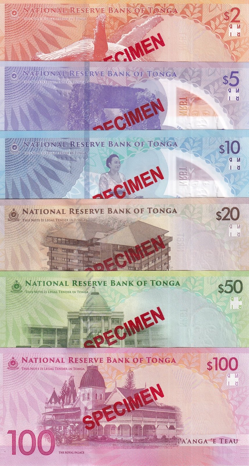 Tonga Set 6 SPECIMEN UNC 2 20 50 100 (5 10 Polymer) Pananga 2023 2024 P 50 51-55