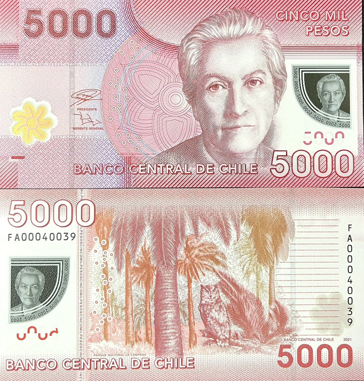 Chile 5000 Pesos 2021 Polymer P 163 h UNC ,Palm tree & Megallanic horned owl