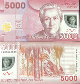 Chile 5000 Pesos 2021 Polymer P 163 h UNC ,Palm tree & Megallanic horned owl