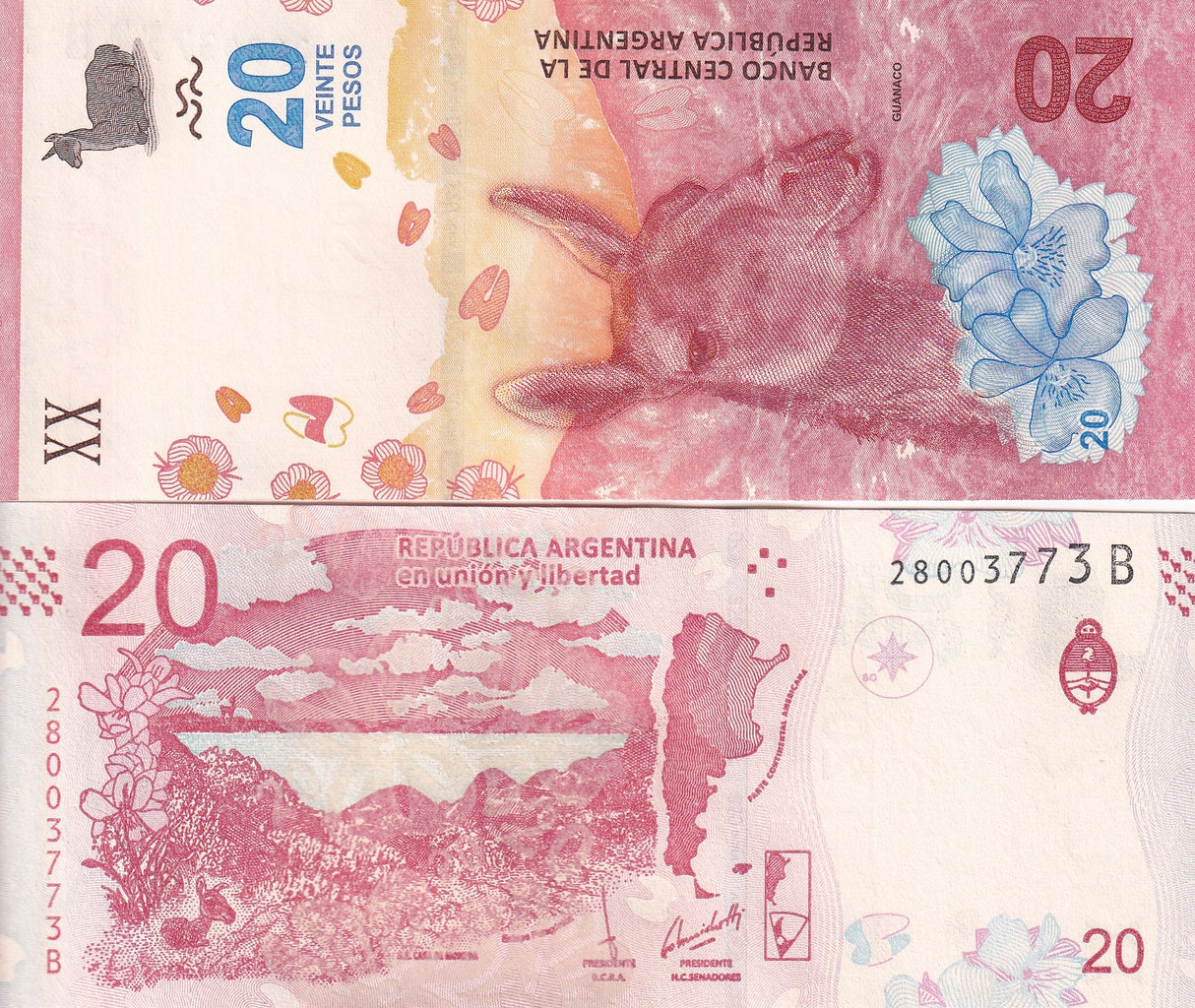 Argentina 20 Pesos ND 2017 P 361 UNC,Banco Central de la República Argentina