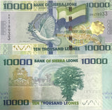 Sierra Leone 10000 Leones 2010 P 33 a UNC, Pigeon, Cotton Tree. Kapok tree