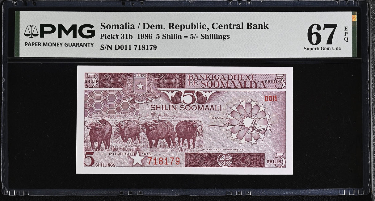 Somalia 5 Shillings 1986 P 31 b Superb Gem UNC PMG 67 EPQ , Cape Buffalo