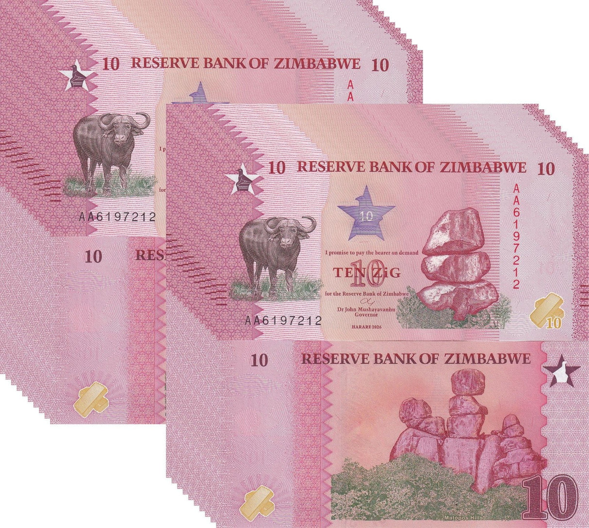 Zimbabwe 10 Zig 2026 P 115 New Design Buffalo UNC LOT 20 PCS