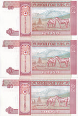 Mongolia SET 3 UNC 20 Tugrik ND 1993 P 55 AA AB AC Prefix
